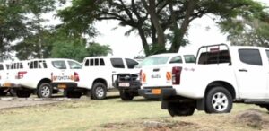 Screenshot_20250114-164258