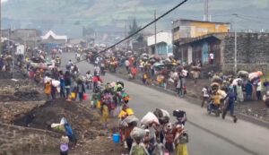 Screenshot_20250127-045251