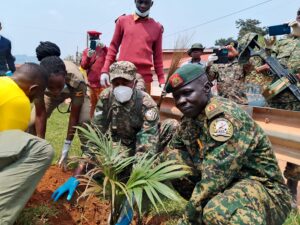 IMG_20250205_121751_314