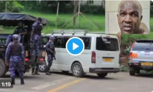 Screenshot_20250506-045212