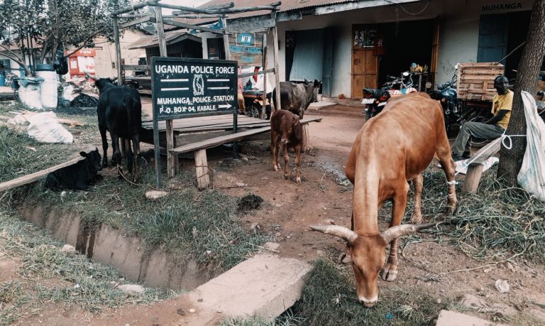 Resize_09aa8670-6f4b-4ad0-85fb-8a9435a4000120250924_141050