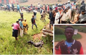 Resize_5ff406d9-e08d-4752-b256-1333aa0cbf9020250925_055906