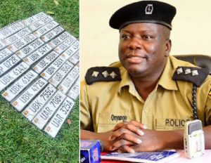 Resize_7834fe3f-a9ae-4d51-b910-a4a727b7c7e220250912_170044