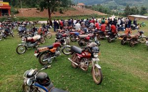 Resize_a614b368-7893-47aa-9d86-d82e5fd0dc0620250922_201013