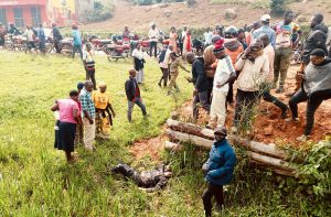 Resize_c956aba3-8267-4d96-8b86-0a857173a56f20250918_110151