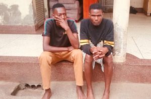 Resize_b1609e52-1a77-4477-82ae-c39e59f7d83020251014_112059