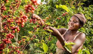 1_GY1W2Qd-d8bLsMyLsQeBlg-1080x675