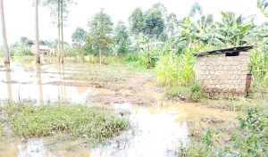 Resize_7bee2cda-cfc4-4966-9b2f-119bc859e12b20251116_091631