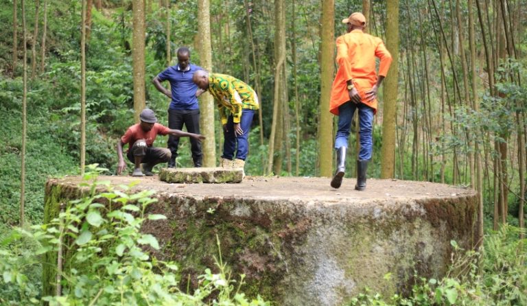 Screenshot_20251121-082725