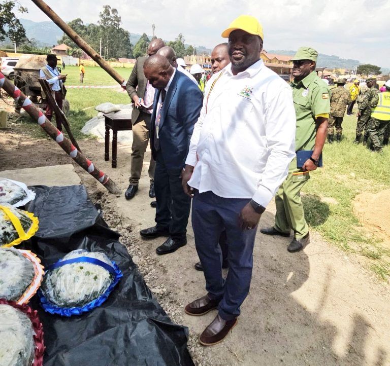 Resize_8518f6ef-8b68-4f7e-a285-bce64ada5c1020251203_130739