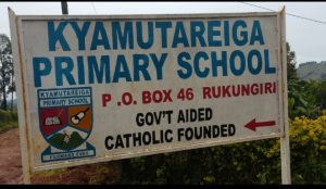 Screenshot_20251208-234536_1