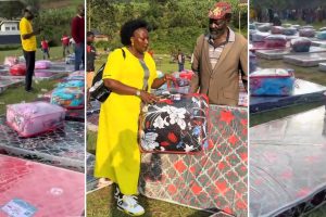 GridArt_20260214_080638134 (3)