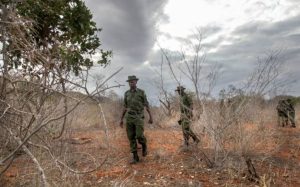 Screenshot_20260316-104803