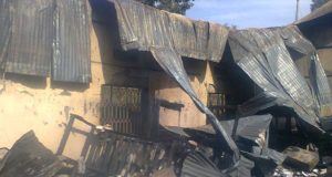 Screenshot_20260331-082237