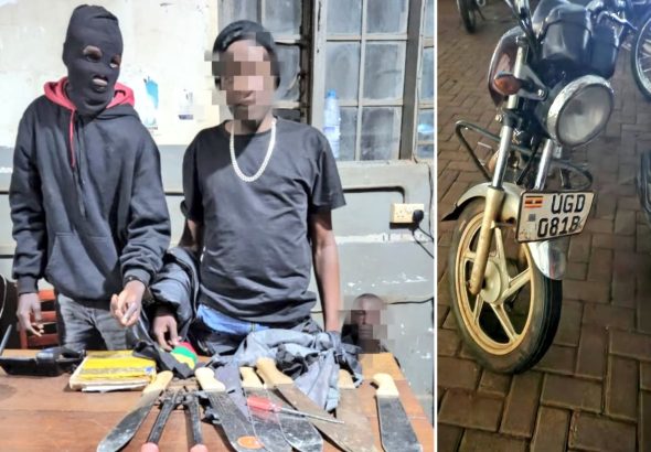 GridArt_20260423_092116730