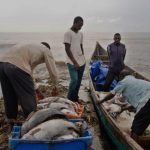 Screenshot_20260422-105810