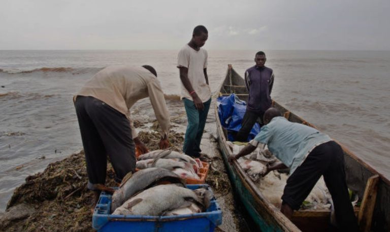 Screenshot_20260422-105810